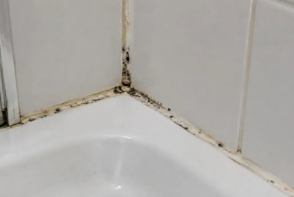 Kitbedrijf Boxtel – beschimmelde kitranden